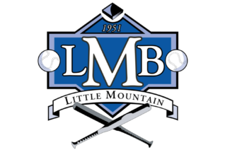 Little Mountain Baseball